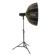 Glow EZ Lock Beauty Dish: Picture 6 thumbnail