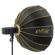 Glow EZ Lock Beauty Dish: Picture 9 thumbnail