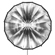 Glow Grand Box Parabolic: Picture 13 thumbnail