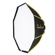 Glow ParaSnap: Picture 5 thumbnail