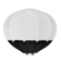 Glow Lantern Softbox: Picture 5 thumbnail