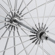 Glow Easy Lock Umbrella: Picture 6 thumbnail