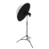 Glow Easy Lock 41" Translucent Umbrella ...: Picture 2 thumbnail