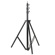 Godox 300F Light Stand (9.8'): Picture 1 thumbnail