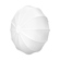undefined undefined: Picture 1 regular