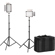 Godox LED500LRC KIT-1: Picture 1 thumbnail