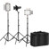 Godox LED500LRC KIT-2: Picture 1 thumbnail