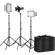 Godox LED500LRC KIT-2: Picture 1 thumbnail