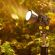 Godox KNOWLED MG: Picture 21 thumbnail