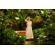 Godox KNOWLED MG: Picture 25 thumbnail