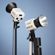 Godox ML60IIBi: Picture 23 thumbnail