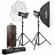 Godox QS400II Studio Light: Picture 1 thumbnail