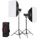 Godox SL150III KIT: Picture 1 thumbnail