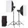 Godox SL150II KIT: Picture 1 thumbnail