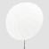 Godox Parabolic Umbrella: Picture 4 thumbnail