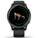 Garmin Venu: Picture 5 thumbnail