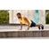 Garmin Venu 2 Plus: Picture 9 thumbnail