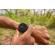 Garmin fenix 7: Picture 3 thumbnail