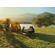 Garmin inReach Messenger: Picture 12 thumbnail