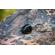 Garmin Enduro 2: Picture 17 thumbnail