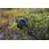 Garmin Enduro 2: Picture 18 thumbnail