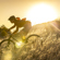 Garmin Rally RK210: Picture 6 thumbnail
