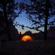 Garmin inReach Messenger Plus: Picture 18 thumbnail