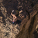 Garmin fenix 8: Picture 14 thumbnail