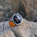 Garmin fenix 8: Picture 16 thumbnail