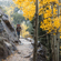 Garmin GPSMAP H1I PLUS: Picture 16 thumbnail
