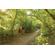 Garmin eTrex SE: Picture 12 thumbnail