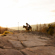 GoPro Tripod with Ball Head: Picture 9 thumbnail