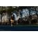 Garmin Forerunner 265: Picture 13 thumbnail