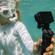 GoPro HERO13 Black Camera: Picture 22 thumbnail