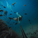GoPro HERO13 Black Camera: Picture 10 thumbnail