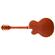 Gretsch G6120TFM: Picture 1 thumbnail