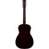 Gretsch LTD JIM DANDY SERIES: Picture 2 thumbnail