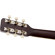 Gretsch LTD JIM DANDY SERIES: Picture 7 thumbnail
