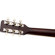 Gretsch LTD JIM DANDY SERIES: Picture 7 thumbnail