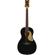 Gretsch G5021E: Picture 1 thumbnail
