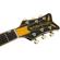 Gretsch G5022CBFE: Picture 8 thumbnail