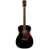 Gretsch Nick 13: Picture 1 thumbnail