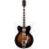 Gretsch G2622T: Picture 1 thumbnail