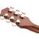 Gretsch G2215-P90: Picture 6 thumbnail