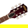 Gretsch Streamliner Jet Club Single-Cut ...: Picture 5 thumbnail