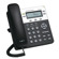 Grandstream Networks GXP1450 HD Enterprise IP Phone with Dual Switch Integrated PoE Ports: Picture 2 thumbnail