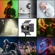 GVM 800D-RGB: Picture 3 thumbnail