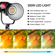GVM Pro SD with Lantern: Picture 15 thumbnail
