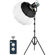GVM SD200D Spotlight: Picture 2 thumbnail