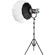 GVM SD200D Spotlight: Picture 4 thumbnail